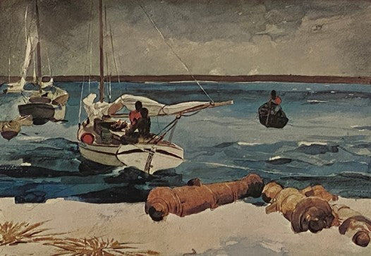 Winslow Homer in the Tropics