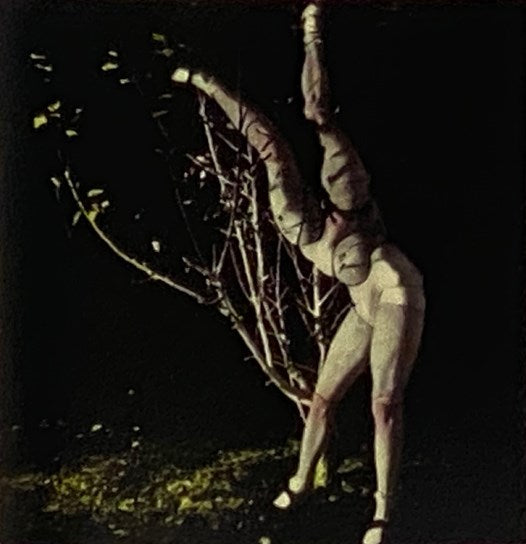 The Doll (Atlas Anti-Classic 14)