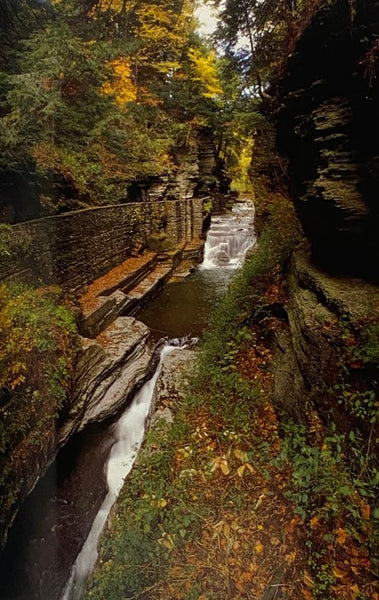 Waterfalls and Gorges of the Finger Lakes