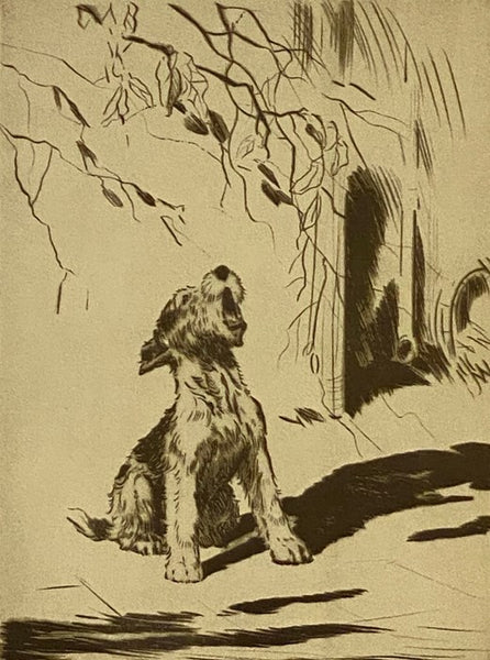 Real Tales of Real Dogs