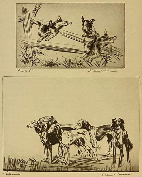 Real Tales of Real Dogs