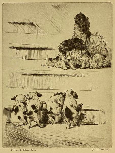 Real Tales of Real Dogs