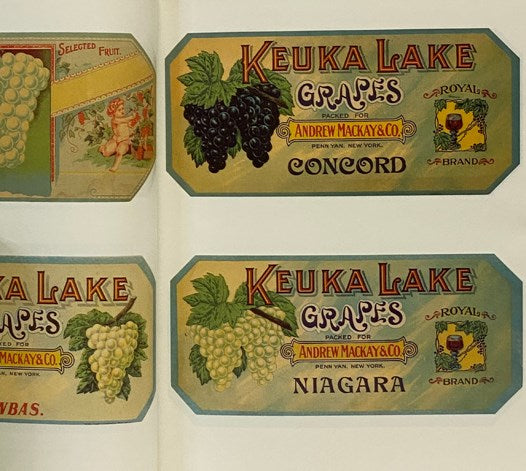 Crooked Lake and the Grape