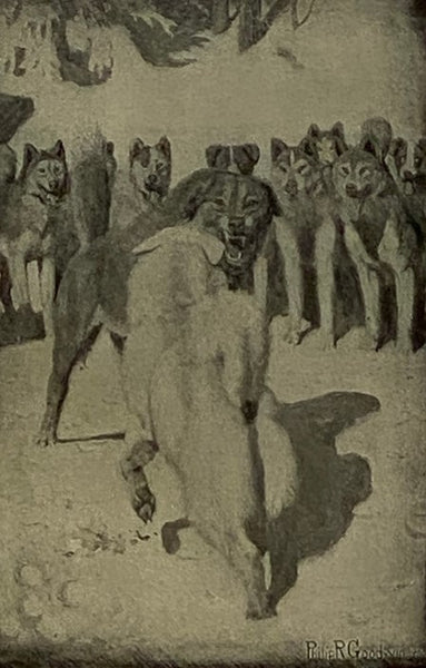 The Call of the Wild (Macmillan's Standard Library)