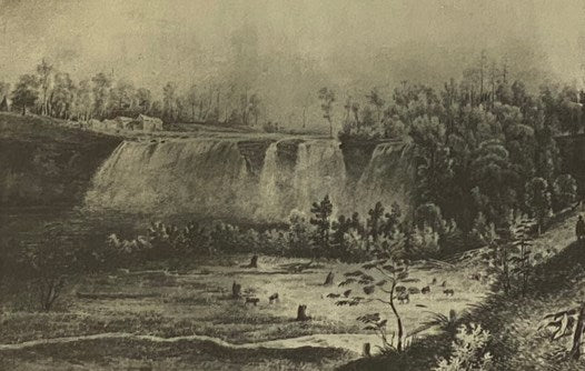 Rochester on the Genesee: The Growth of a City (New York Classics)