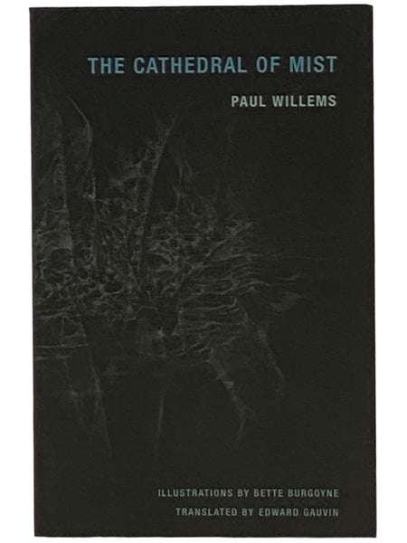 The Cathedral of Mist (Imagining Architecture, 3)
