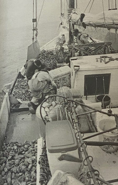 Maryland Skipjacks (Images of America)