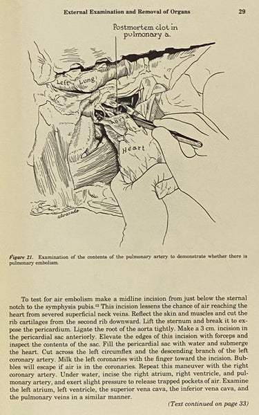 Postmortem Examination: Specific Methods and Procedures