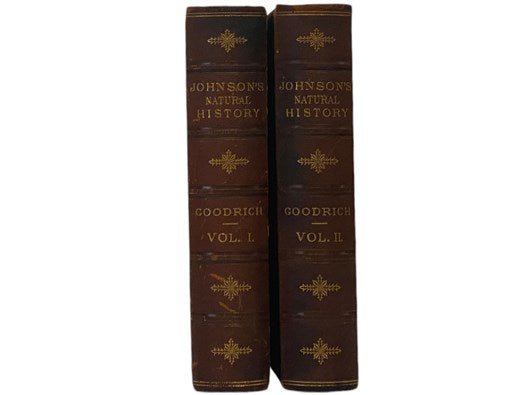 Johnson's Natural History, Comprehensive, Scientific, and Popular, Illustrating and Describing the Animal Kingdom, with Its Wonders and Curiosities, from Man, through All the Divisions, Classes, and Orders, to the Animalcules in a Drop of Water; Showing …