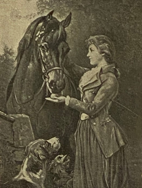 Black Beauty: The Autobiography of a Horse