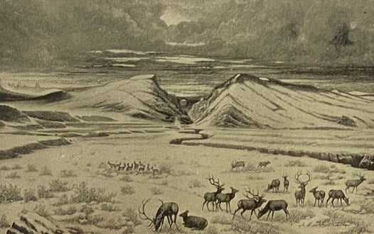 Last of the Great Scouts: The Life Story of Col. William F. Cody ('Buffalo Bill')