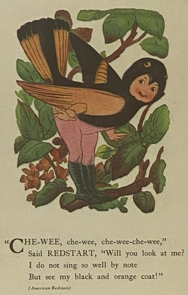 Bird Children: The Little Playmates of the Flower Children