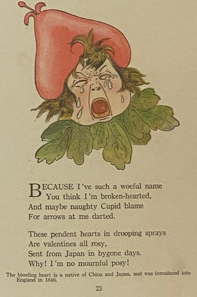 The Flower Babies' Book