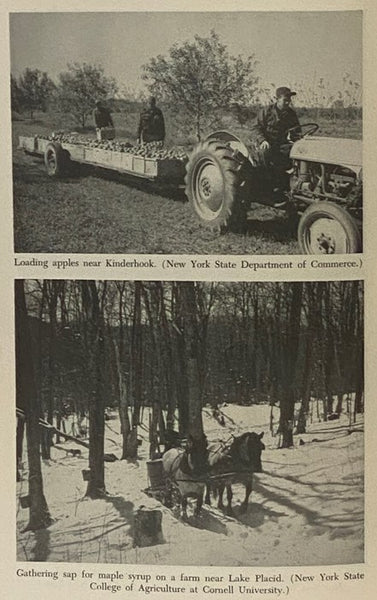 A Short History of New York State