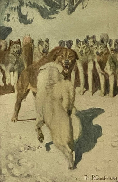 The Call of the Wild