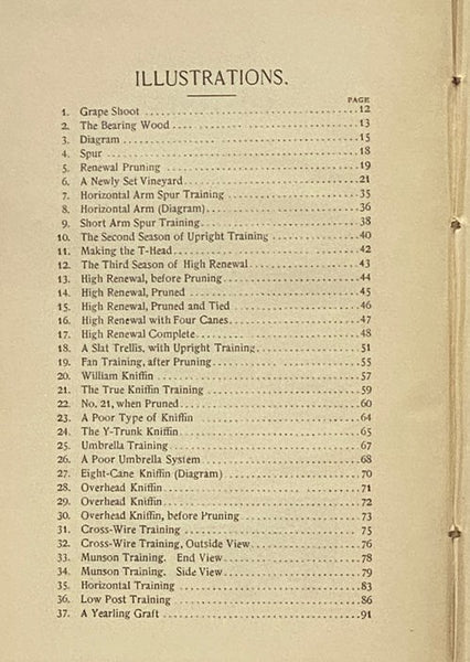 American Grape Training: An Account of the Leading Forms Now in Use of Training the American Grapes.