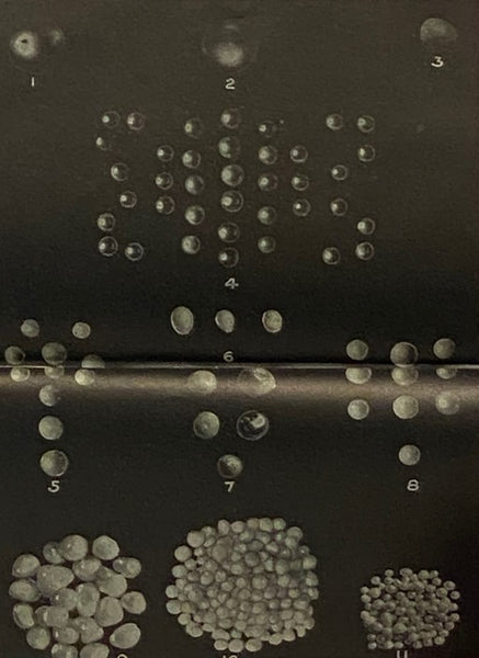 Pearls and Pearling