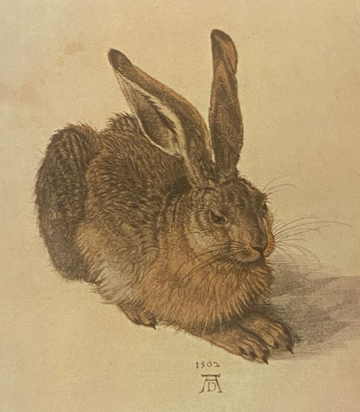Albrecht Durer: Paintings, Drawings and Prints (The Folio Society)
