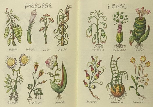 Codex Seraphinianus