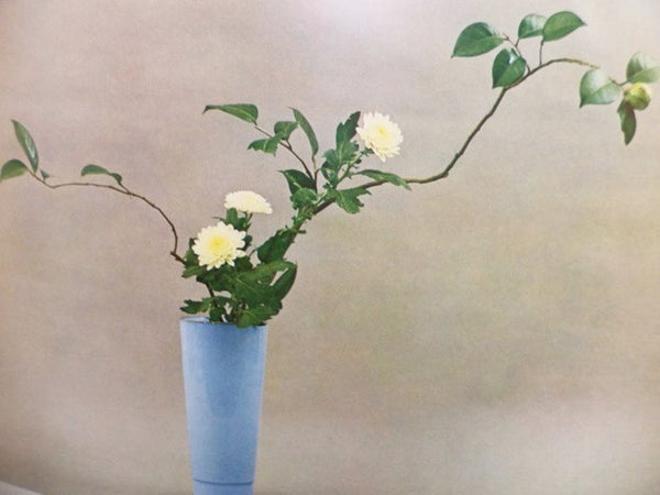 The Art of Arranging Flowers: A Complete Guide to Japanese Ikebana
