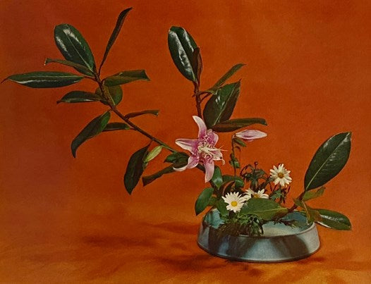 The Art of Arranging Flowers: A Complete Guide to Japanese Ikebana