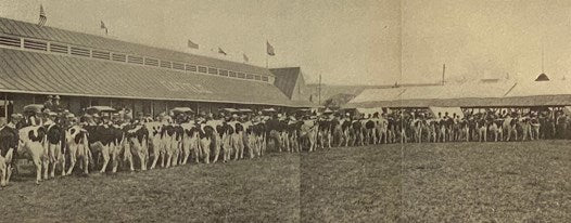 Agricultural Advantages of New York State, Issued by the Department of Agriculture of the State of New York Bureau of Statistics