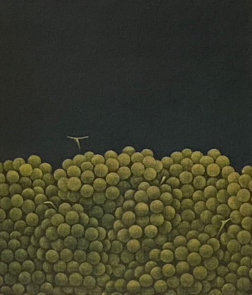 Yozo Hamaguchi [Hamaguchi's Color Mezzotints]