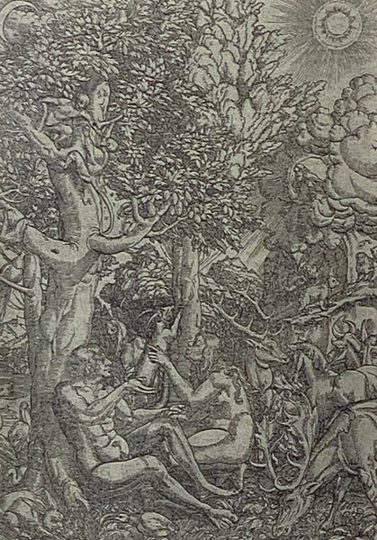 The Bible in English: Its History and Influence