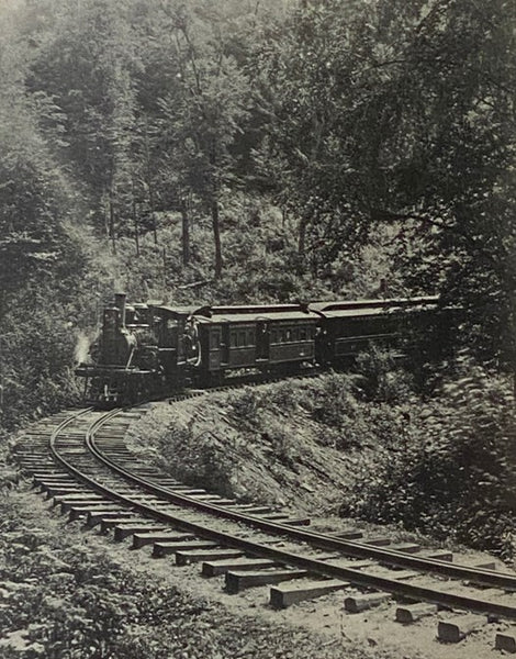 Muncy Valley Lifeline: The Life and Times of the Williamsport and North Branch and Eagles Mere Railroads