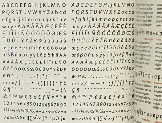 Language Culture Type: International Type Design in the Age of Unicode, with a Special Section Showing the Winners in Bukva:raz!, the Type Design Competition of the Association Typographique Internationale