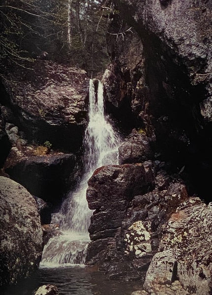 A Bushwhackers View of the Adirondacks