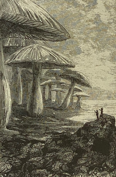 The Best of Jules Verne: Around the World in Eighty Days; The Clipper of the Clouds; Journey to the Center of the Earth [Centre]