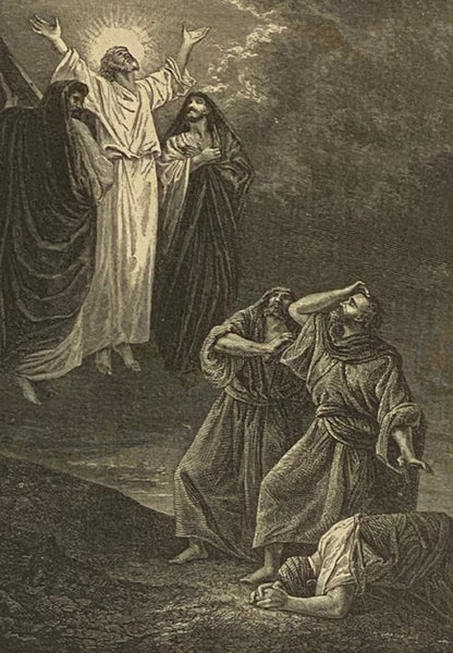 Gallery of Bida Engravings, Containing One Hundred Descriptive Scenes and Themes from the Life of Jesus. (Art Edition.)
