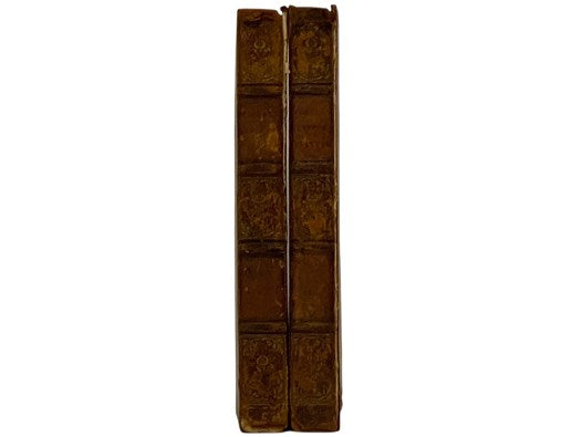 An Account of the Life and Writings of James Beattie, LL.D., Late Professor of Moral Philosophy and Logic in the Marischal College and University of Aberdeen. Including Many of His Original Letters. A New Edition, in Two Volumes.