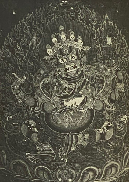 The Myth of Freedom and the Way of Meditation (Shambhala Dragon Editions)