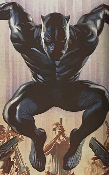 Black Panther: A Nation Under Our Feet (Marvel Premier Collection)