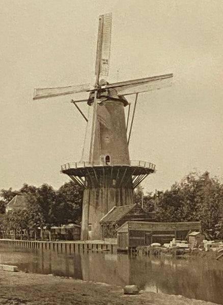 Holland. in Two Volumes.