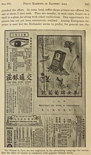 Fruit Markets in Eastern Asia (University of California College of Agriculture, Agricultural Experiment Station, Berkeley, California, Bulletin 493, April, 1930) (Contribution from the Giannini Foundation of Agricultural Economics)