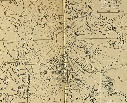 The Arctic Year