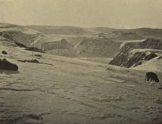 My Arctic Journal: A Year Among Ice-Fields and Eskimos, with an Account of the Great White Journey Across Greenland