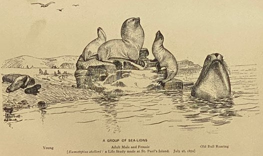 Our Arctic Province: Alaska and the Seal Islands