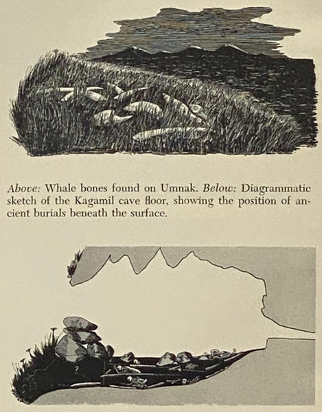 Birthplace of the Winds