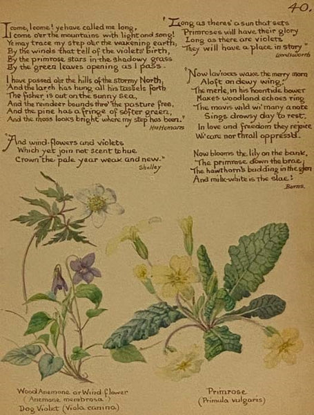 The Country Diary of an Edwardian Lady: A Facsimile Reproduction of a Naturalist's Diary