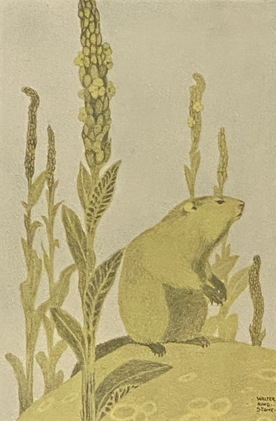 The Log of the Sun: A Chronicle of Nature's Year