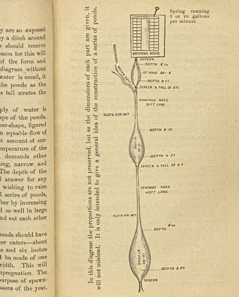 Fish Hatching, and Fish Catching.
