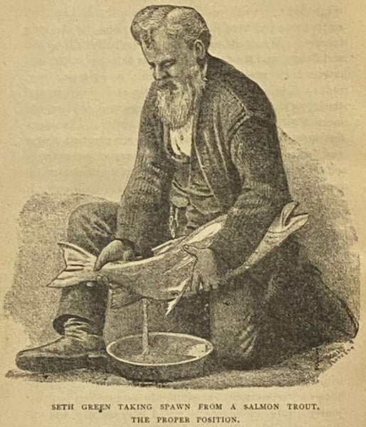 Fish Hatching, and Fish Catching.