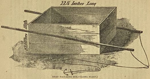 Fish Hatching, and Fish Catching.
