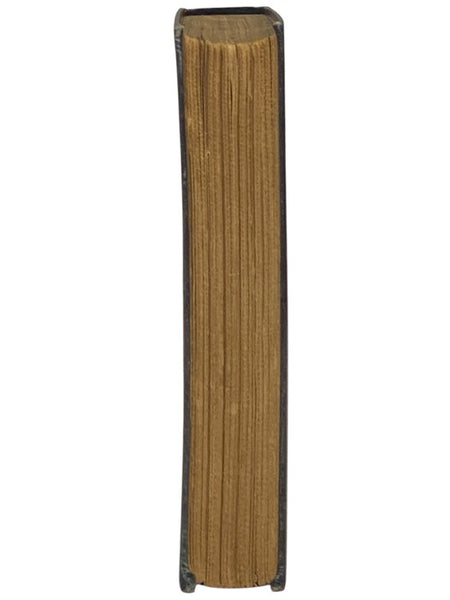 The Iron Heel