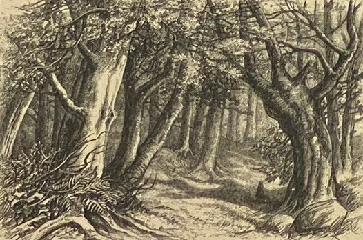 In the Ardennes