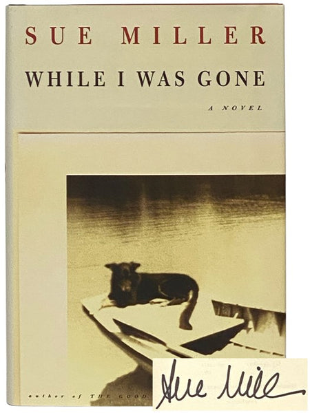 While I Was Gone